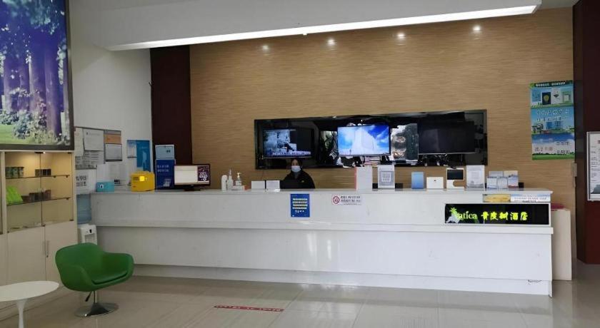 青皮树连云港海州区新孔南路中茵名都酒店 杭州 外观 照片
